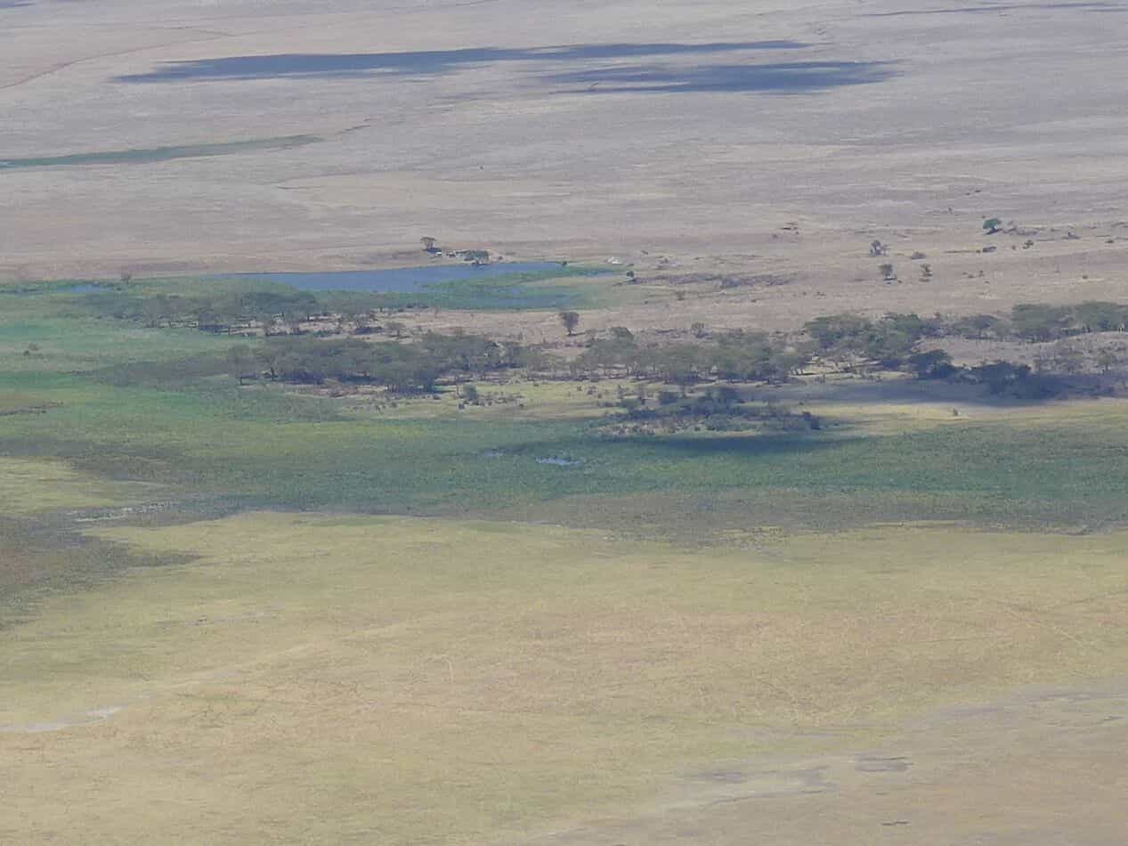 Game Drive In Ngorongoro Crater