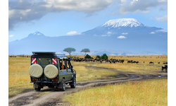 Why Choose Infinite Safari Adventures?